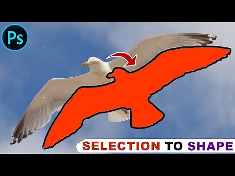 How to Convert Selection to Custom Shape in Photoshop
