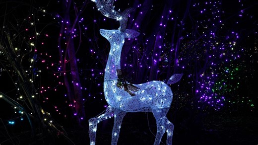 Make some core holiday memories see some Christmas Lights in RI. 5 displays to check out