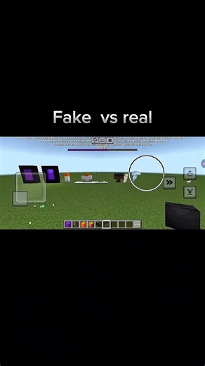 Minecraft: Fake vs Real Challenge 🔥 #shorts#minecraftshorts