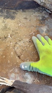 419K views · 3.6K reactions | Not the most exciting video, but I bet you haven’t heard of this FREE Rockhounding spot!  Oak Springs Trilobite Area! They get absolutely massive. I only got to spend a couple hours there while passing through. I found loads of trilobites and a plate with several giant partials. Located between Vegas and Ely. If you love fossils you’ll love this place. | That Camping Couple | Facebook