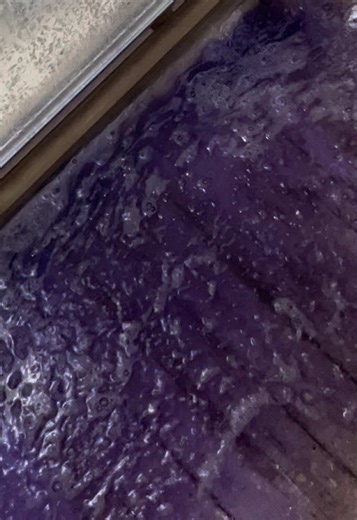 Purple Rain Hair Dye Transformation