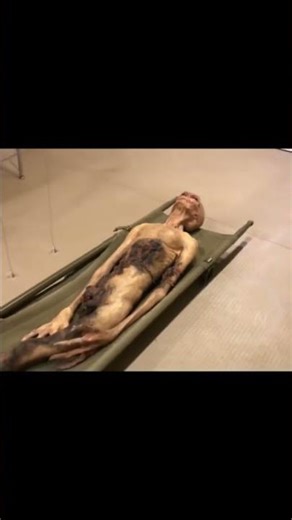 Real Alien Entity Caught On Camera 2026 👽