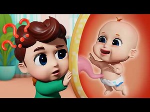 Educational Videos for Kids | Mommy Has a Baby in Her Belly👶Baby Born Song + Family Song | Bibiberry