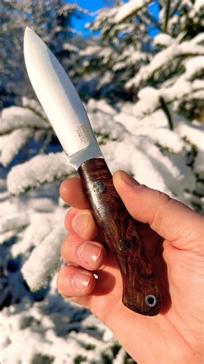 Bark River Mini Tundra Desert Ironwood Burl #Barkriver #bushcraft #camping #hunting #Brkt