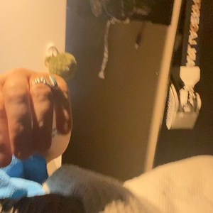 10K views · 1.7K reactions | goodnight godbless  | Kelo the African Grey | Facebook