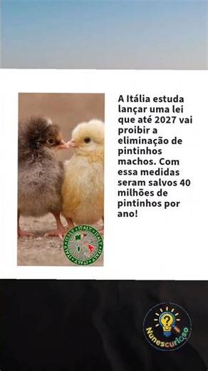 Pobres bichinhos! #universo #curiosidade #historias #yputubeshorts #shorts