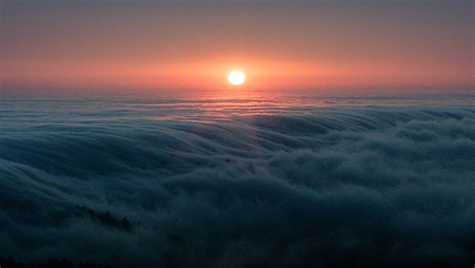 Enjoy Calming Fog Sunset Photography With the Sony a1 and 35mm Film