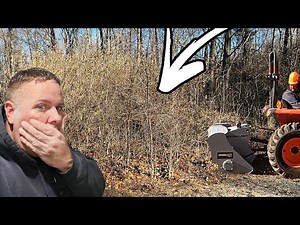 Kubota tractor mulching masterclass: Tackling barbed wire & brush with the Baumalight MP348!