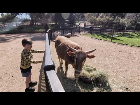 Animal Zoo Day Out - Fun Day Exploring The Zoo & Gardens