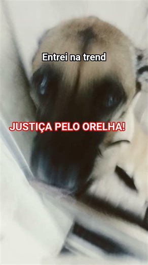 justiça