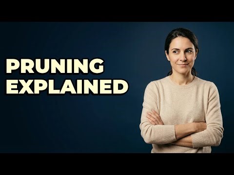 What Is The Cordon Pruning System?