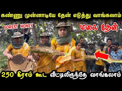 100 கிராம் கூட ஓரிஜினல் காட்டு தேன் வாங்கலாம் | Pure Forest honey | Pure honey