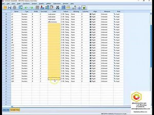 How to analyze questionnaire data from excel spss