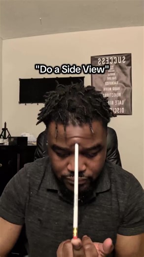 Birds eye view | bird