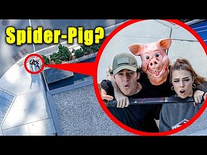 When you see SPIDER-PIG near your house... RUN!! (He captured STROMEDY and his GIRLFRIEND!!)