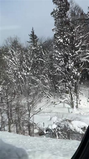 Dayen (@princessdayenaa)’s videos with I smell snow - ☆