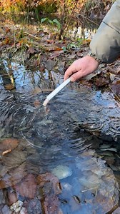 11M views · 209K reactions | Survival Skills: Fire Starter and Torch for Extreme Conditions. #survival #skills #fire #lifehacks #camping #bushcraft #ideas #outdoors #firestarter | Sergio Outdoors | Facebook