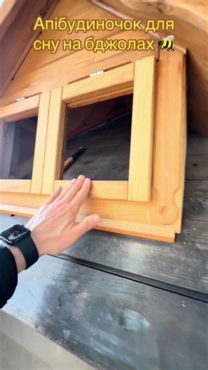 Хочеш перезавантажити свій організм всього за 1 годину сну на бджолах? 🔋 +38 067 201 50 50