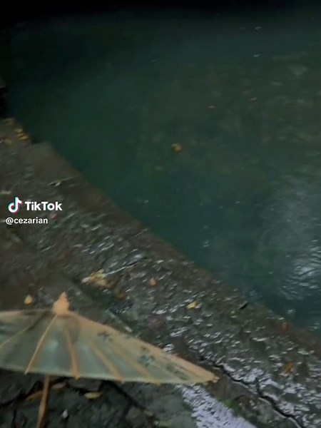 Captivating Umbrella on a Serene Rainy Day