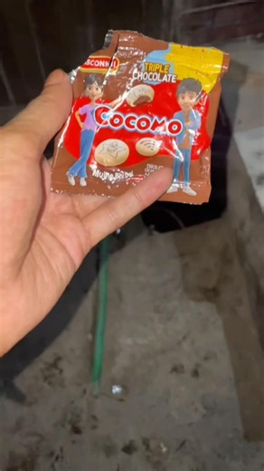 Cocomovlogs😂❤️ #funny #cocomovlogs cocomovlogs