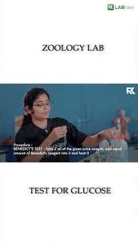TEST FOR GLUCOSE - Plus Two Biology Practical | RK Lab Nex - Practical Made Easy 💯 ♥️