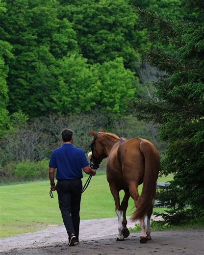 Curious about how to feed your pregnant mare? 🤔🐴 Our founder & CEO, Scott Cieslar, breaks down some targeted nutritional support for mares throughout gestation. During early and mid-gestation, begin with a forage-first diet that fully meets requirements for vitamins, minerals, and amino acids. Pregnancy increases the need for certain nutrients that are essential for fetal growth, immune development, and proper skeletal formation. As your mare enters the third trimester, fetal growth accelerate