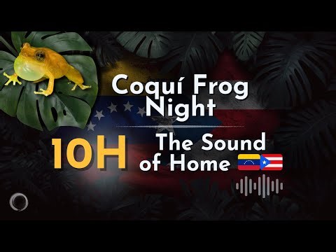 🐸 Coquí Frog Sounds for Sleep 🇻🇪🇵🇷 | 10H Tropical Night from Caracas & Puerto Rico 🌿
