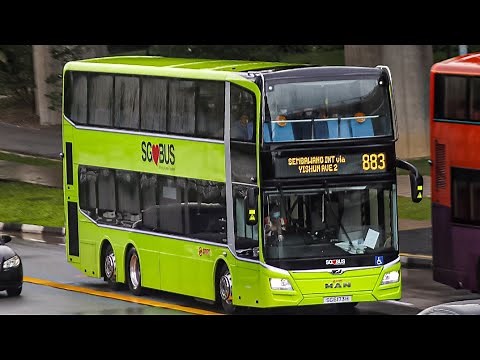 Evolution of Singapore Public Buses (1973-2021)