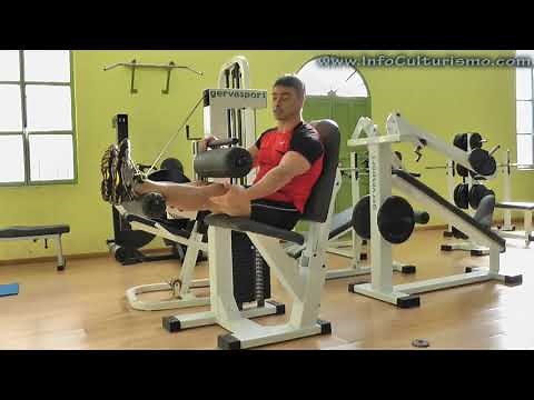 Seated leg curl (hamstring curl) on a machine
