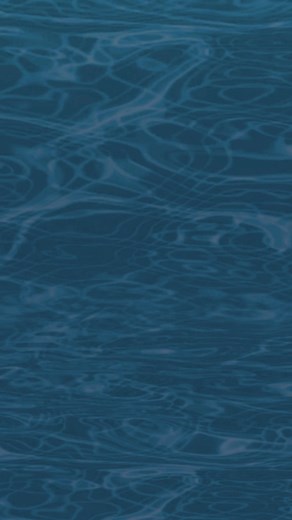 3.4K views · 14 reactions | Start making your holiday memories now! #cornwall #newquay #familyholiday #holidaypark | Monkey Tree Holiday Park | Facebook