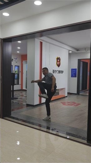 Retractable, invisible mesh door; mosquito- and pet-proof screen. The edges are sealed with zippers