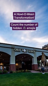 416 reactions · 22 shares | We go all out for Howl-O-Ween at Great Wolf Lodge! Check out this enormous balloon spider display at our Gurnee location ️ | Great Wolf Lodge | Facebook