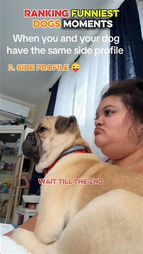 This Dog Needs a test 😭🤣 #shorts