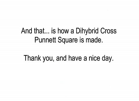 Genetics | A-Level Biology Revision Notes