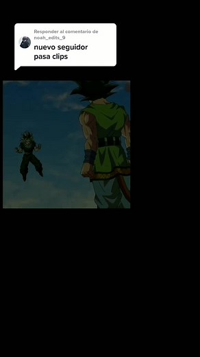 Dragon Ball Animated Characters Battle Scenes