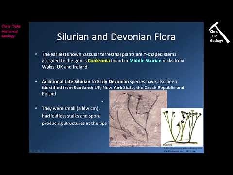 Paleozoic Life History (Plants and Vertebrates) - Part 1