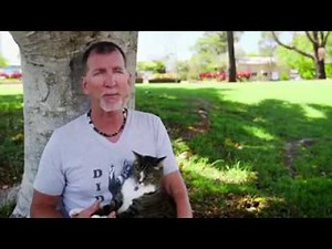 Didga the Skateboarding Cat