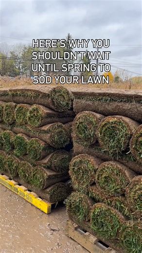 1.2K views | 1️⃣ Fall gives your lawn a jump start — cooler weather...