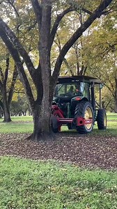 2.9M views · 10K reactions | Harvesting of nut in winter...