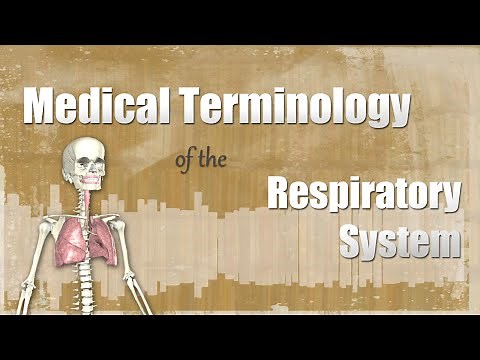 Medical Terminology of the Respiratory System