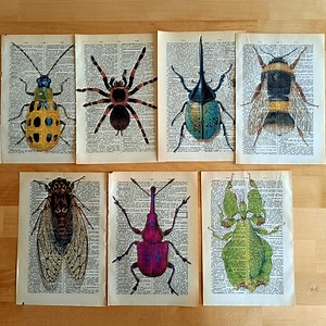 Set of 7 Insect Dictionary Prints–vintage Bug Wall Art–entomology Illustration Home Decor-bug Art Print Set–entomology Decor-bug Lover Gift - Etsy