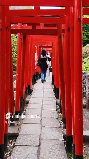 Japan Tori Gate Experience 🇯🇵 Hidden Shrines and Sacred Walks