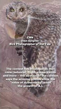 The 2026 Bird Photographers of the Year