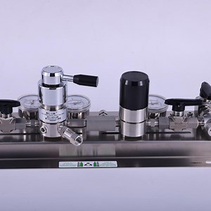 [Hot Item] Gas Pressure Regulator Semi-Automatic Changeover Gas System for Purity and Mixtures Gases