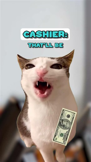 When math is not mathing 😅 (CAT MEMES🐈) ‪@dude.dans_‬#shorts