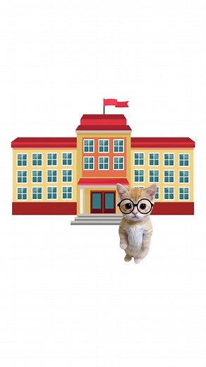 @phd.kitty on Instagram: "Kitty explains college"