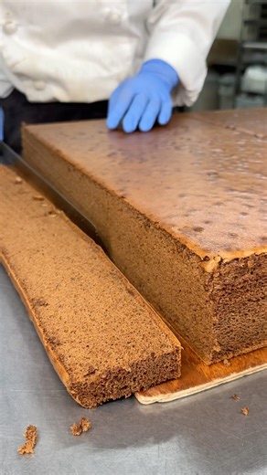 Chocolate Castella #japanesefood