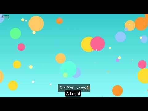 Learn About Amazing Koala Facts for Kids | Fun Educational Video for Kids