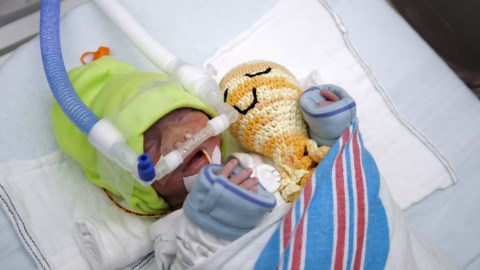 Hospital uses hand-crocheted octopuses to help NICU babies feel safe