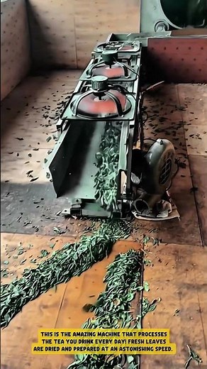 The TEA PROCESSING MACHINE is pure FACTORY MAGIC! 🤩 TEA LEAVES never looked so SATISFYING!